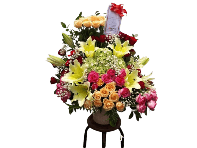 Bunga Mawar Warna Warni - Mixed Rose