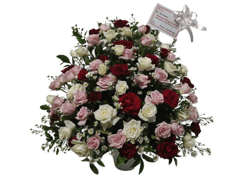 Bunga Mawar Beraneka Warna - Premium Rose