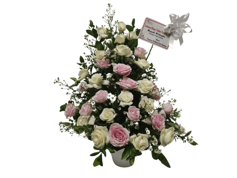 Bunga Mawar Classic Campur - Classic Rose