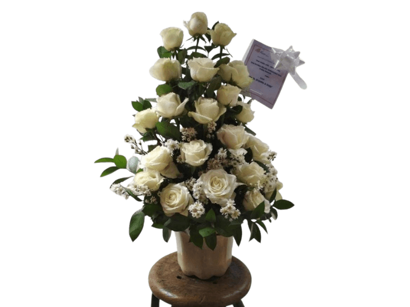 Bunga Buket Mawar Putih - Premium Rose