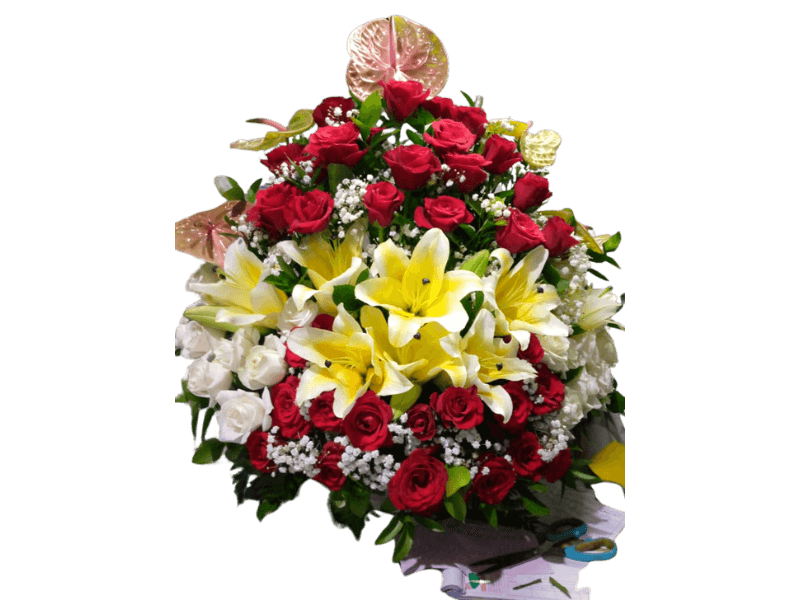 Bunga Mawar Mixed Romantis - Mixed Rose