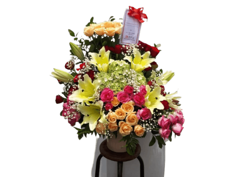Bunga Mawar Mixed - Mixed Rose
